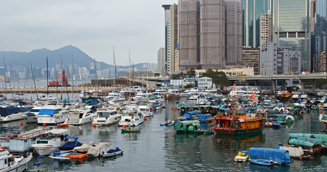 Take A Cruise Around The Harbour