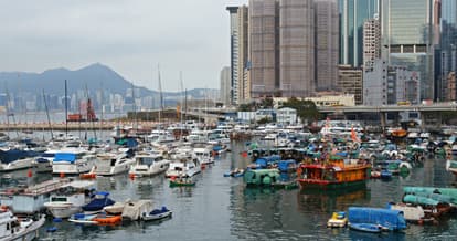 Take A Cruise Around The Harbour