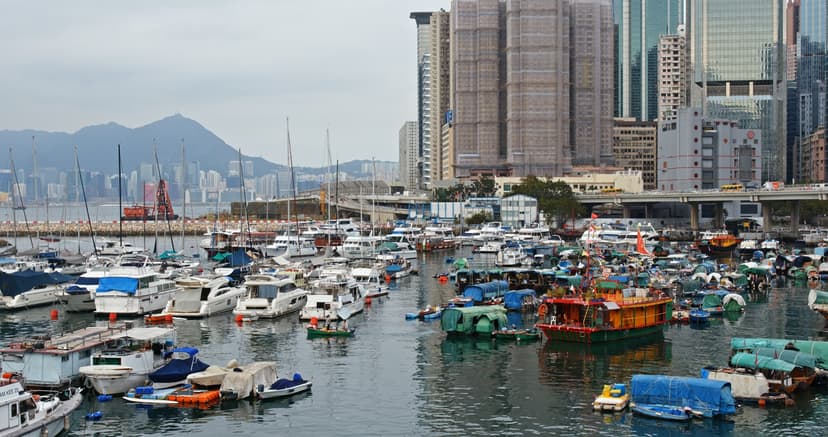 Take A Cruise Around The Harbour