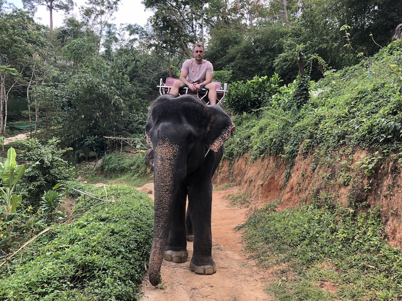 Take An Elephant Ride