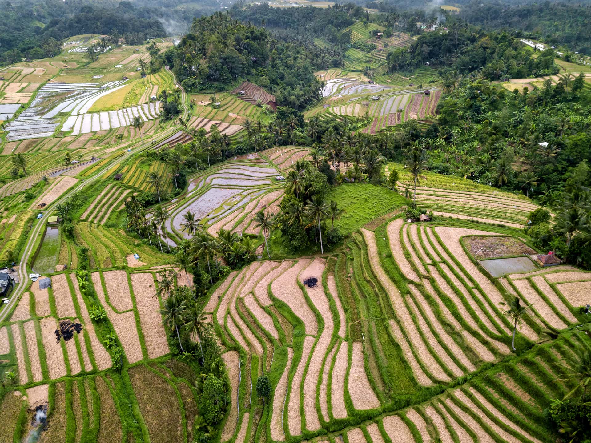 Discover UNESCO Classified Jatiluwih Rice Terrace in Singapore - Bali