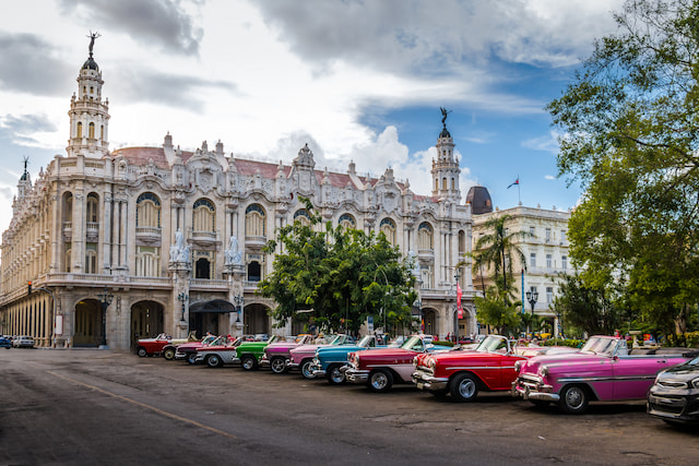 Enjoy vintage car tour