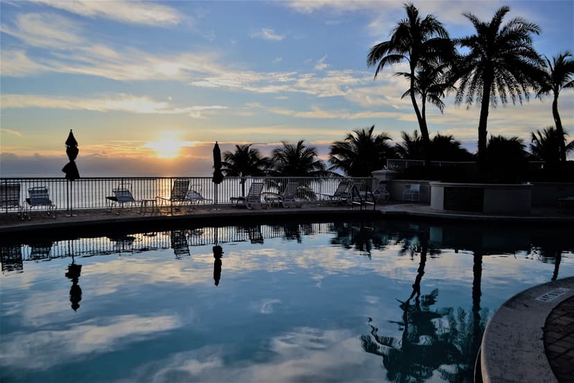 Visit the Venetian Pool