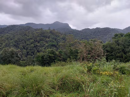 Wayanad
