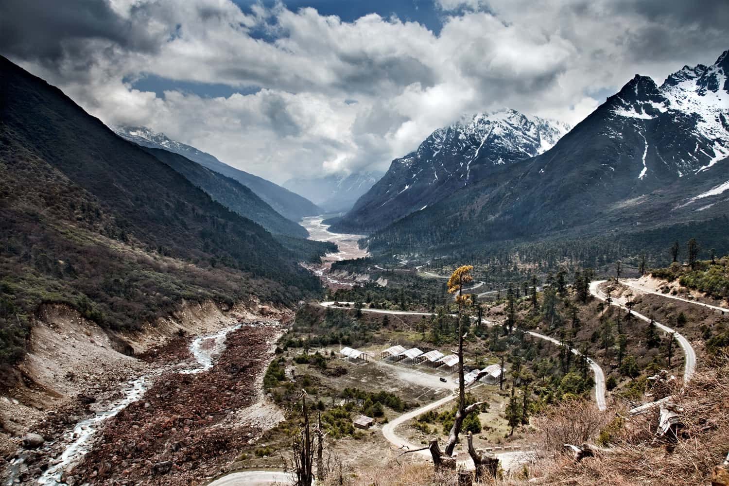 Yumthang Valley - Sikkim's Valley Of Flowers in North East