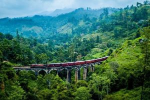 Sri Lanka: The Perfect honeymoon destination!