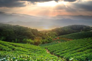 Check Out These 10 Best Places to Visit in India in April 2025 with Your Loved Ones!