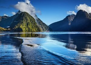 Discover Milford Sound – The Jewel of New Zealand Tourism!